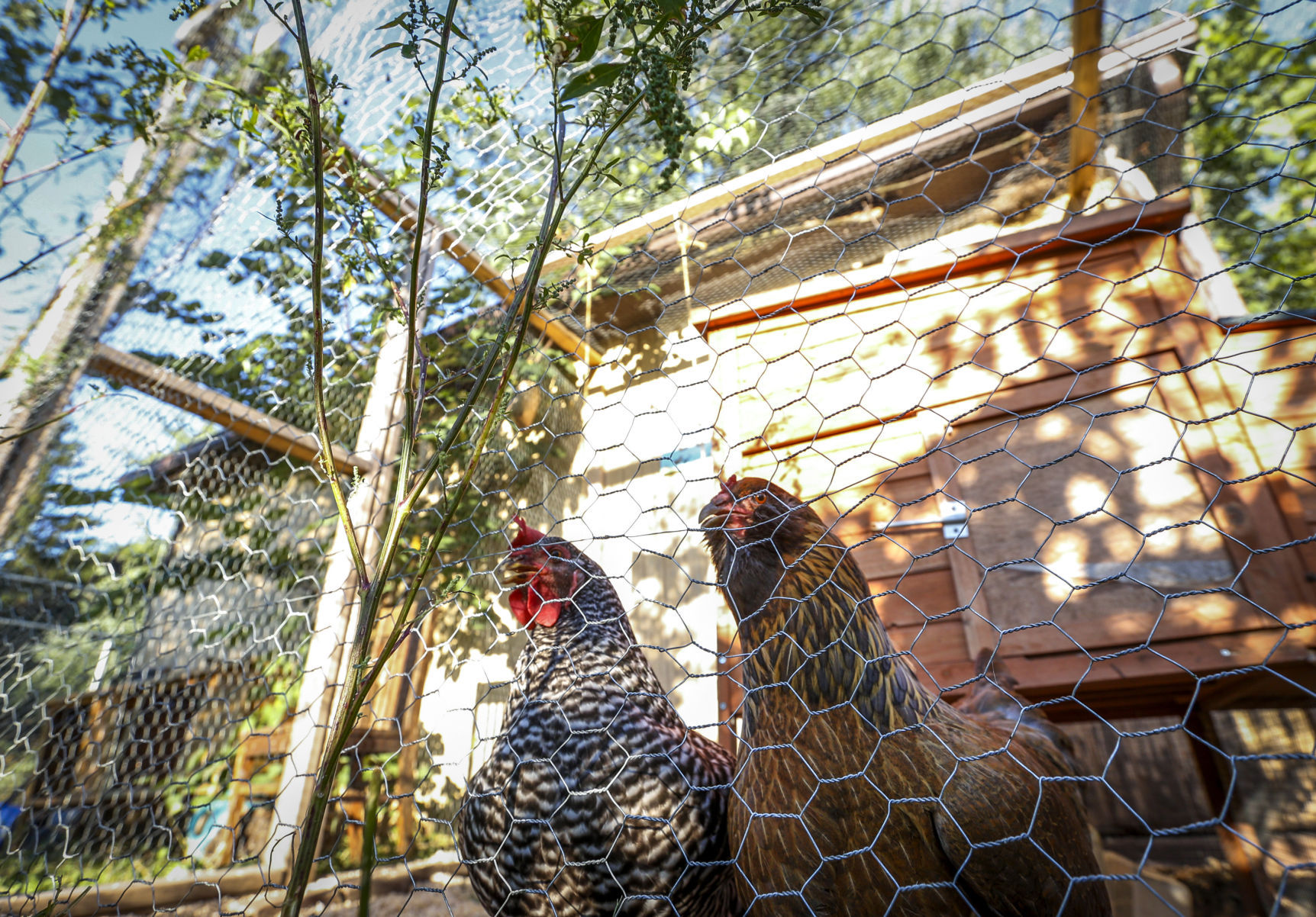 FARM-BOOK-107